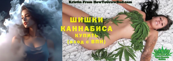 прущая мука Новозыбков